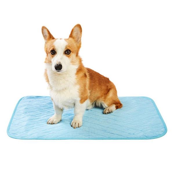 kennels & pens 1pcs summer ice silk pet pad sofa breathable waterproof reusable diaper mat dog bed cool pets supplies accessories
kennels & pens 1pcs summer ice silk pet pad sofa breathable waterproof reusable diaper mat dog bed cool pets supplies accessories