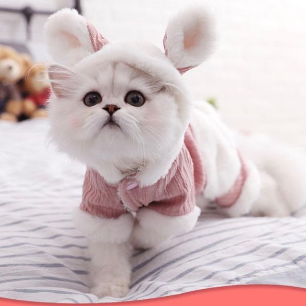 cat costumes year autumn winter sweater dog warm clothes pet for kitten clothing lovely vest cute costume n127
cat costumes year autumn winter sweater dog warm clothes pet for kitten clothing lovely vest cute costume n127