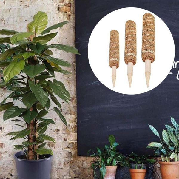 other garden supplies plant climbing pole coir moss stick palm vines support extension indoor plants creepers ship
other garden supplies plant climbing pole coir moss stick palm vines support extension indoor plants creepers ship