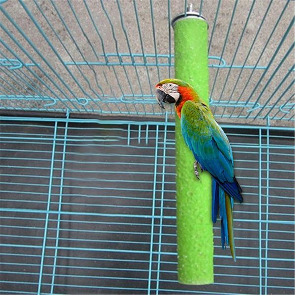 other bird supplies 1pc natural perch hanging swings cageparrots swing toy birds colorful beads toys cage pet #y2
other bird supplies 1pc natural perch hanging swings cageparrots swing toy birds colorful beads toys cage pet #y2