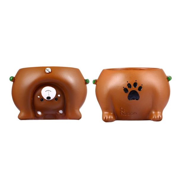 watering equipments small flowerpot succulent planter green plants flower pot table decoration
watering equipments small flowerpot succulent planter green plants flower pot table decoration