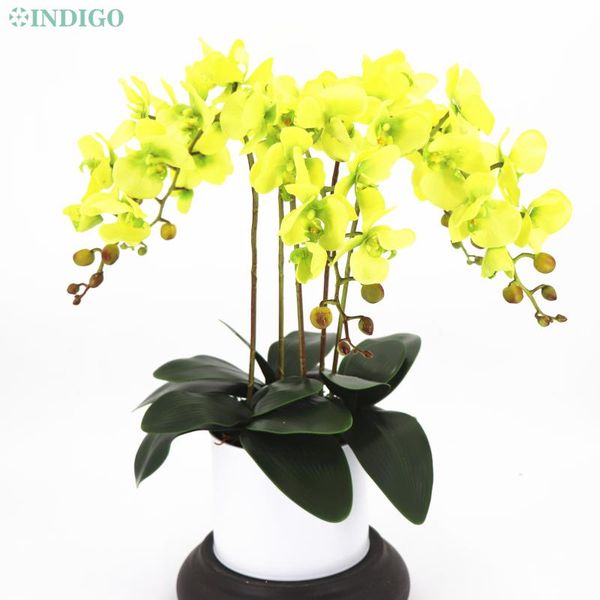 green orchid diy flower arrangment (5pcs flower+3pcs leaf ) real touch wedding party centerpiece decoration decorative flowers & wrea wreath
green orchid diy flower arrangment (5pcs flower+3pcs leaf ) real touch wedding party centerpiece decoration decorative flowers & wrea wreath