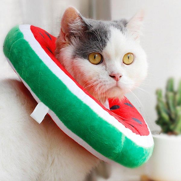 cat fruit e-collar recovery cone adjustable cotton blends neck recover dog elizabeth pet protection collar collars & leads
cat fruit e-collar recovery cone adjustable cotton blends neck recover dog elizabeth pet protection collar collars & leads