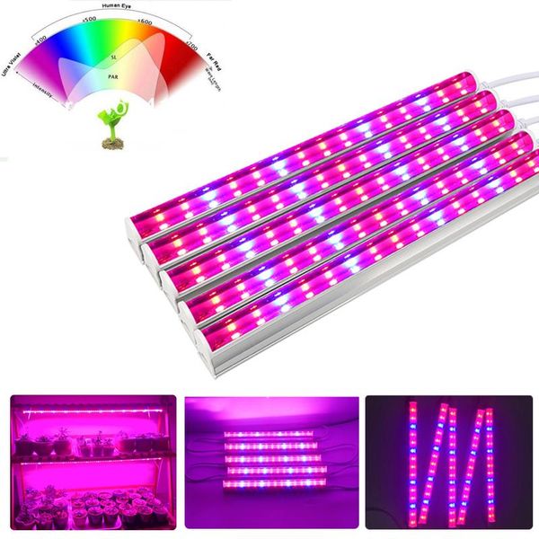 indoor led grow light phyto lamp for plants smd5730 full spectrum growing seedlings fitolampy growth lights sets
indoor led grow light phyto lamp for plants smd5730 full spectrum growing seedlings fitolampy growth lights sets