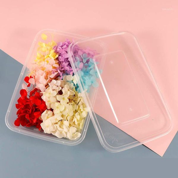 1box colorful diy dried flower for nail art decration candle making craft accessories manicure tools decorations1, Silver;gold
1box colorful diy dried flower for nail art decration candle making craft accessories manicure tools decorations1, Silver;gold