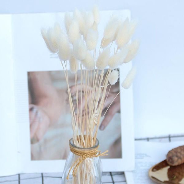 decorative flowers & wreaths dried flower bouquet artificial lagurus ovatus decoration for home el wedding l5
decorative flowers & wreaths dried flower bouquet artificial lagurus ovatus decoration for home el wedding l5