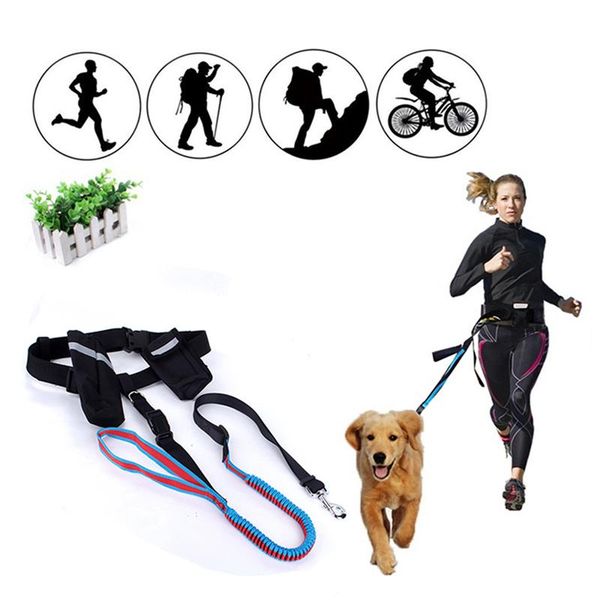 dog collars & leashes jormel hand pet dogs waist leash for running elasticity adjustable harness collar jogging walking leads with food
dog collars & leashes jormel hand pet dogs waist leash for running elasticity adjustable harness collar jogging walking leads with food