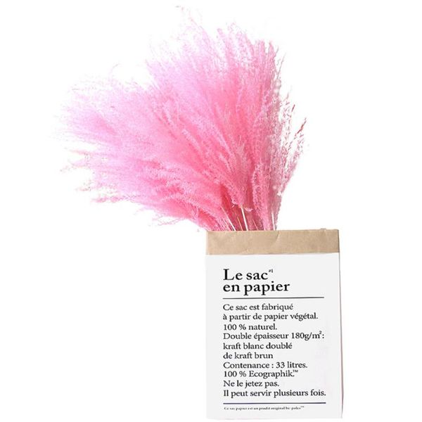 decorative flowers & wreaths 20pcs dried natural pink wedding small pampas grass bouquets reed
decorative flowers & wreaths 20pcs dried natural pink wedding small pampas grass bouquets reed