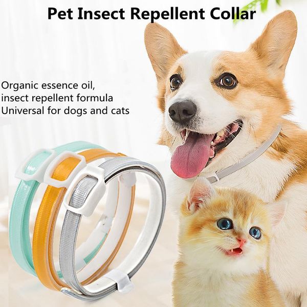 summer insect repellent collar cat anti-flea anti-lice in vitro anti-mite dog flea preventing ring health products collars & leashes
summer insect repellent collar cat anti-flea anti-lice in vitro anti-mite dog flea preventing ring health products collars & leashes