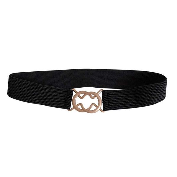 women elastic belt gold metal buckle belts for black fabric waistband female dress fashion, Black;brown
women elastic belt gold metal buckle belts for black fabric waistband female dress fashion, Black;brown