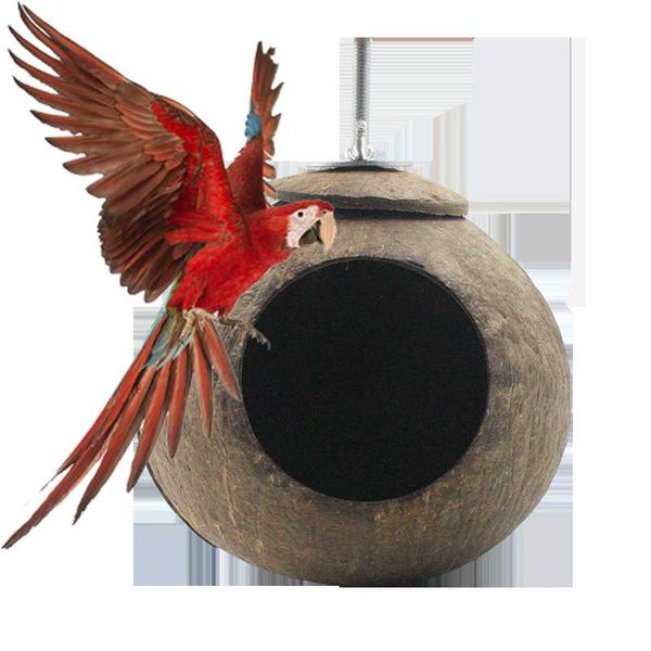 natural coconut shell bird cages parrot house squirrel nest cage with hanging lanyard for small pet parakeets finches sparrows
natural coconut shell bird cages parrot house squirrel nest cage with hanging lanyard for small pet parakeets finches sparrows