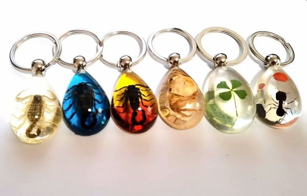 10 pcs keychain real scorpion king crab crab ant four leaf clover insect key ring back vintage cool for women gift jewelry, Slivery;golden
10 pcs keychain real scorpion king crab crab ant four leaf clover insect key ring back vintage cool for women gift jewelry, Slivery;golden