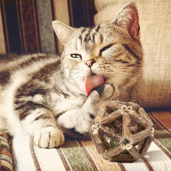 cat toys catnip ball interactive toy for kitten cleaning cats teeth healthy pet supplies
cat toys catnip ball interactive toy for kitten cleaning cats teeth healthy pet supplies