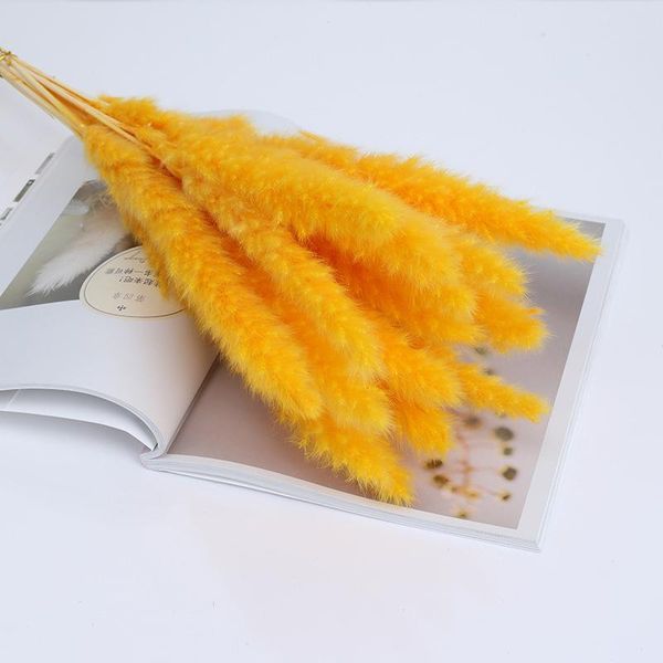 decorative flowers & wreaths natural small dried fluffy pampas grass seed home decor ted bakerblushing bouquet wholesale wedding 15pcs/lot 5
decorative flowers & wreaths natural small dried fluffy pampas grass seed home decor ted bakerblushing bouquet wholesale wedding 15pcs/lot 5