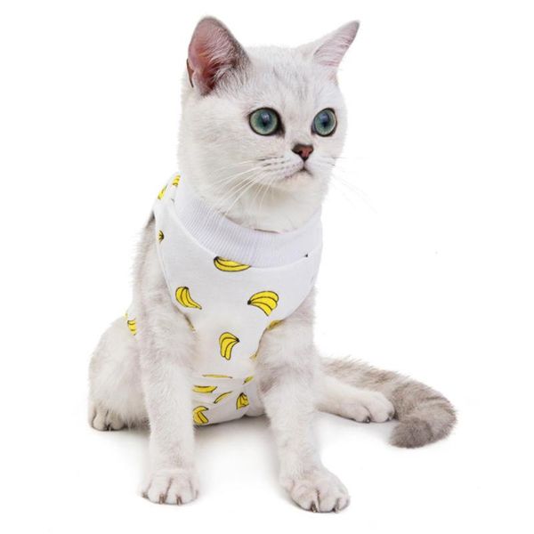 cat costumes pet physiological clothes anti licking wounds female sanitary jumpsuits prevent after clothing products
cat costumes pet physiological clothes anti licking wounds female sanitary jumpsuits prevent after clothing products