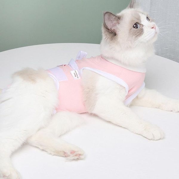 cat recovery suit sterilization care pet kitten anti bite prevent lick after wear summer vest breathable weaning sui costumes
cat recovery suit sterilization care pet kitten anti bite prevent lick after wear summer vest breathable weaning sui costumes