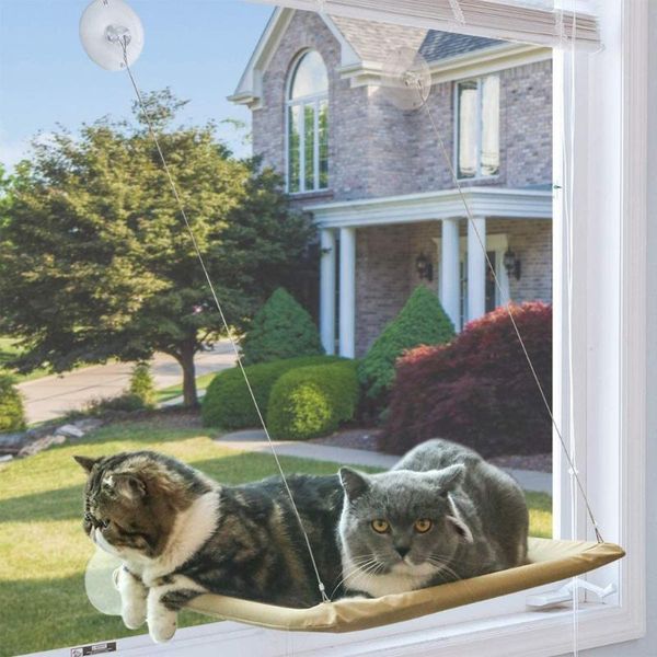 cat bed hammock house resting seat window cats with heavy duty suction cups monolayer mats bearing 17.5kg beds & furniture
cat bed hammock house resting seat window cats with heavy duty suction cups monolayer mats bearing 17.5kg beds & furniture
