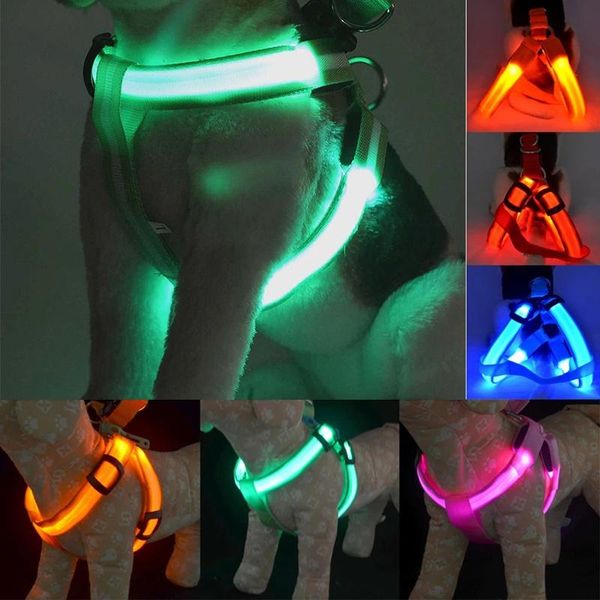 dog collars & leashes pet safety led harness product flashing light leash rope belt collar vest supplies
dog collars & leashes pet safety led harness product flashing light leash rope belt collar vest supplies