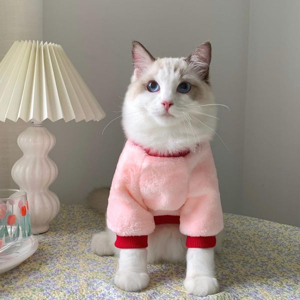year autumn winter sweater warm dog cat clothes kitten puppy pretty hoodies cute pet costume apparel
year autumn winter sweater warm dog cat clothes kitten puppy pretty hoodies cute pet costume apparel