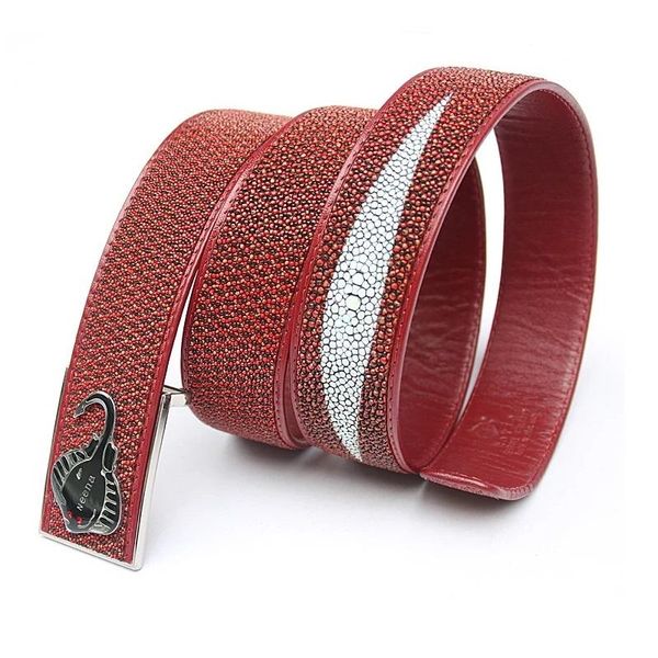authentic real stingray leather needle buckle men's casual waist strap high-end thailand genuine skate skin male unique red belt belts, Black;brown
authentic real stingray leather needle buckle men's casual waist strap high-end thailand genuine skate skin male unique red belt belts, Black;brown