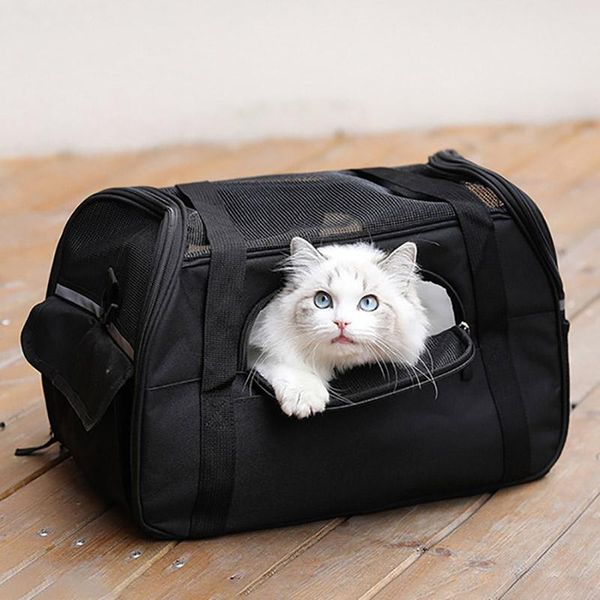 pet bag breathable outdoor cat cage puppy carrying shoulder bags protable carrier handbag for pets dog car seat covers
pet bag breathable outdoor cat cage puppy carrying shoulder bags protable carrier handbag for pets dog car seat covers
