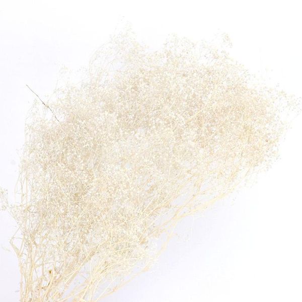 wood gypsophila dried flowers floral arrangement po props home decoration wedding party accessories p3a9 decorative & wreaths
wood gypsophila dried flowers floral arrangement po props home decoration wedding party accessories p3a9 decorative & wreaths