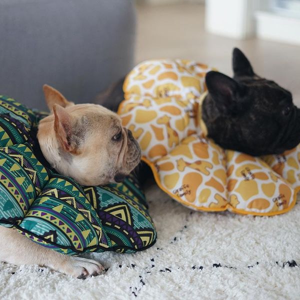 dog collars & leashes head hood anti-licking anti-scratch bite bath waterproof cute sun flower headband collar protective sleeve pet
dog collars & leashes head hood anti-licking anti-scratch bite bath waterproof cute sun flower headband collar protective sleeve pet