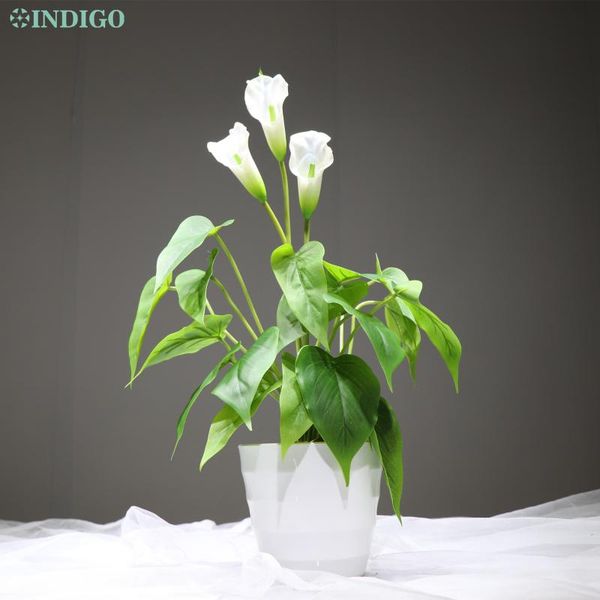 - white tulip bouquet (1 set with plastic vase) bonsai real touch wedding outdoor waterproof display artificial flower decorative flowers &
- white tulip bouquet (1 set with plastic vase) bonsai real touch wedding outdoor waterproof display artificial flower decorative flowers &