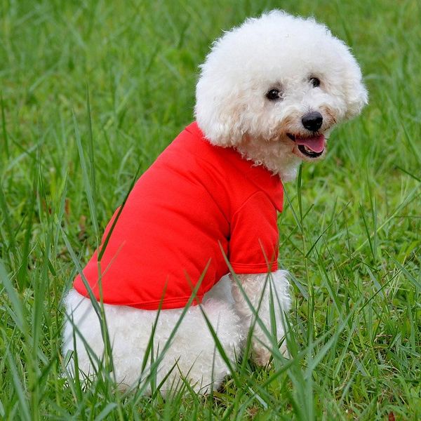 dog apparel spring summer puppy clothes cotton candy color pet small dogs chihuahua clothing pug yorkshire t-shirt shirts
dog apparel spring summer puppy clothes cotton candy color pet small dogs chihuahua clothing pug yorkshire t-shirt shirts
