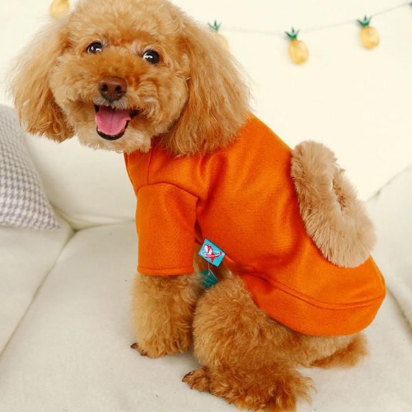 dog apparel cute winter pet clothes puppy dogs warm coat for small chihuahua teddy yorkie thicken clothing jacket outfits
dog apparel cute winter pet clothes puppy dogs warm coat for small chihuahua teddy yorkie thicken clothing jacket outfits