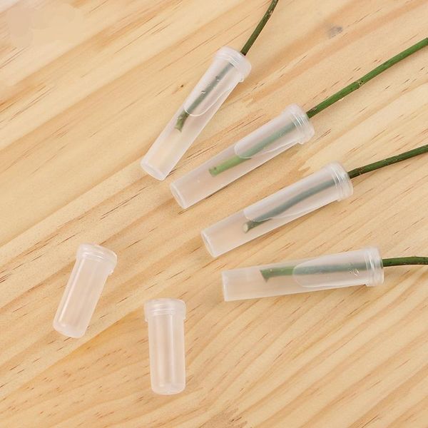 other arts and crafts blue transparent clear flower nutrition tube water storage plastic pipe fresh keeping culture floral packaging materia
other arts and crafts blue transparent clear flower nutrition tube water storage plastic pipe fresh keeping culture floral packaging materia