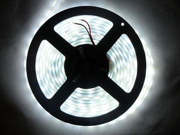 16.4ft 5m dc12v white lighting smd led light strip under water ip68 waterproof for aquarium fish tank garden strips
16.4ft 5m dc12v white lighting smd led light strip under water ip68 waterproof for aquarium fish tank garden strips