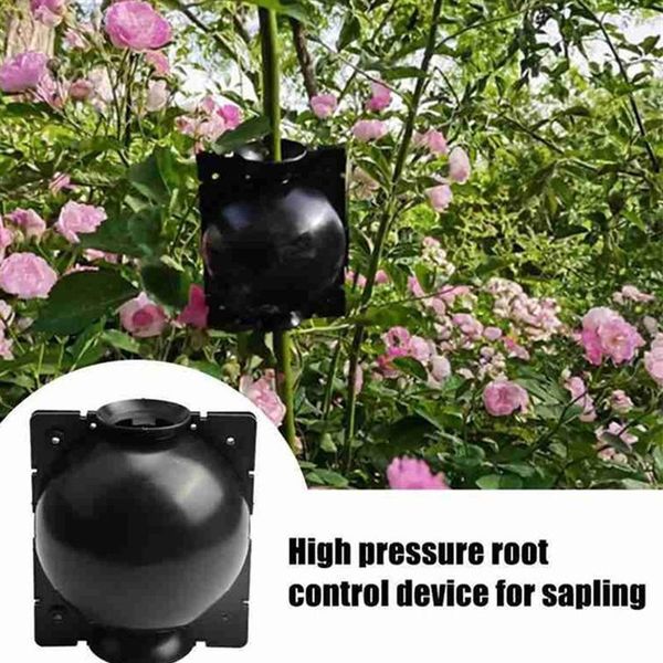other garden supplies 3pcs plant rooting device growth promote propagation reproduction
other garden supplies 3pcs plant rooting device growth promote propagation reproduction