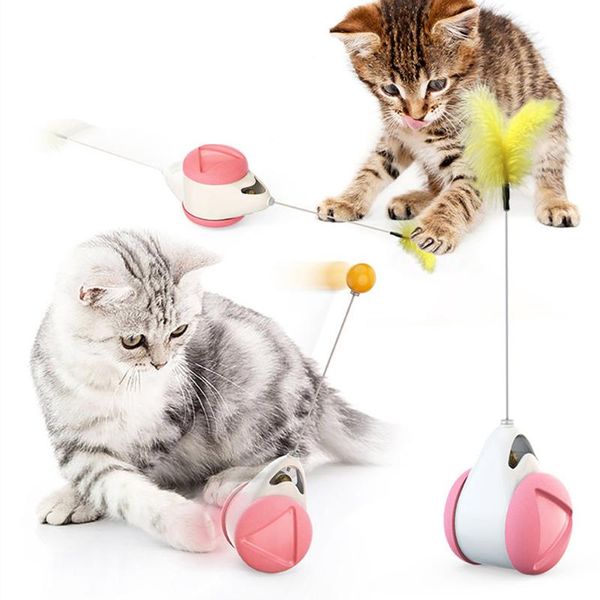 cat toys toy balanced swing car interactive tumblers non-electric chasing pet products
cat toys toy balanced swing car interactive tumblers non-electric chasing pet products
