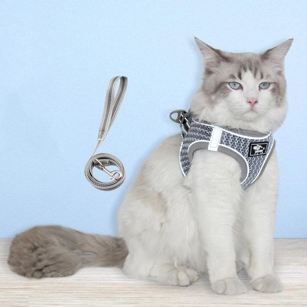 cat collars & leads traction rope breathable and comfortable chest strap walking reflective for cats pet supplies
cat collars & leads traction rope breathable and comfortable chest strap walking reflective for cats pet supplies