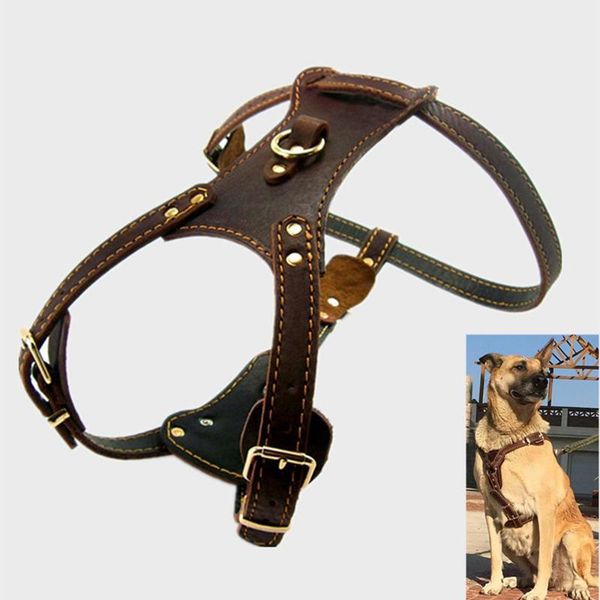 brown genuine leather dog harness and leash set front leading dogs pet no pull for small medium pug chihuahua collars & leashes
brown genuine leather dog harness and leash set front leading dogs pet no pull for small medium pug chihuahua collars & leashes