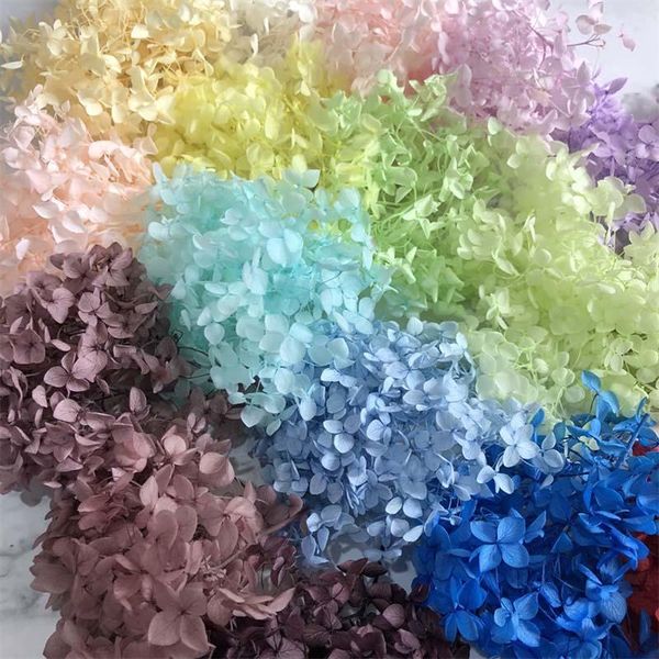 4-4.5g/lot natural fresh preserved flowers dried hydrangea flower head for diy real eternal life material decorative & wreaths
4-4.5g/lot natural fresh preserved flowers dried hydrangea flower head for diy real eternal life material decorative & wreaths