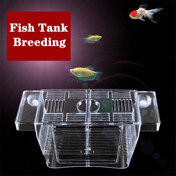 aquarium breeder box fish tank hatchery incubator acrylic isolation with suction cups for small baby fishes shrimp aquariums
aquarium breeder box fish tank hatchery incubator acrylic isolation with suction cups for small baby fishes shrimp aquariums