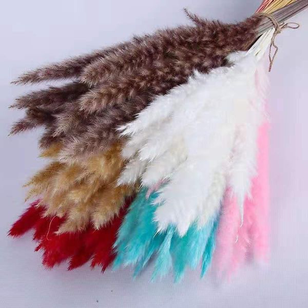 pink herbe de la pampa grass dried flower decor artificial plants fleur sechee naturelle po props mariage home decoration decorative flowers
pink herbe de la pampa grass dried flower decor artificial plants fleur sechee naturelle po props mariage home decoration decorative flowers