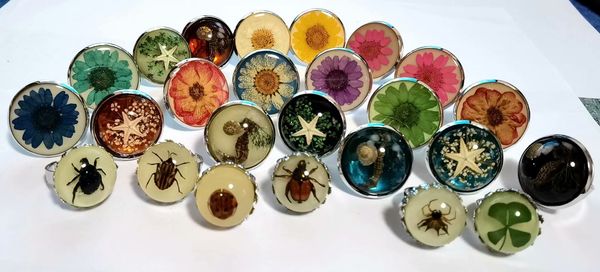 30 pcs fashion mixed real insect flowers four leaf clover starfish ring, Slivery;golden
30 pcs fashion mixed real insect flowers four leaf clover starfish ring, Slivery;golden