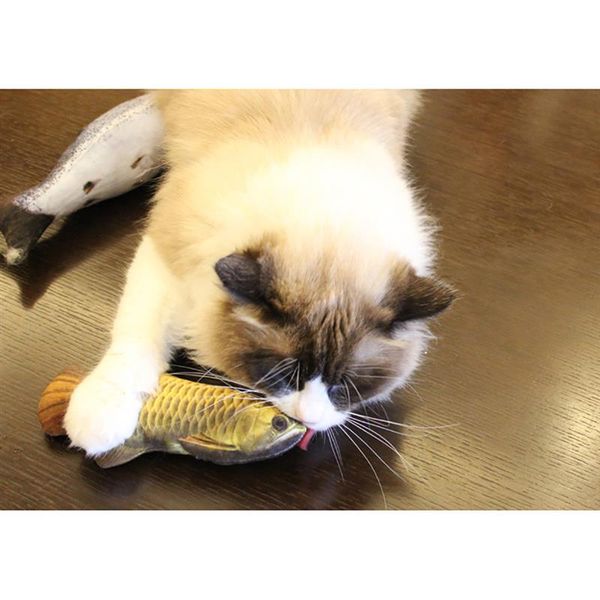 cat toys pet soft plush 3d fish shape toy interactive gifts catnip stuffed pillow doll simulation playing
cat toys pet soft plush 3d fish shape toy interactive gifts catnip stuffed pillow doll simulation playing