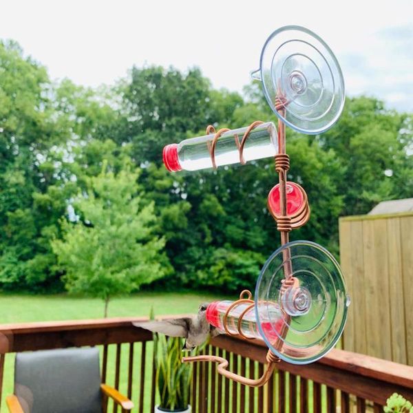 other bird supplies suction cup glass wild drinker feeder outdoor window copper wire hummingbird birds feeding
other bird supplies suction cup glass wild drinker feeder outdoor window copper wire hummingbird birds feeding