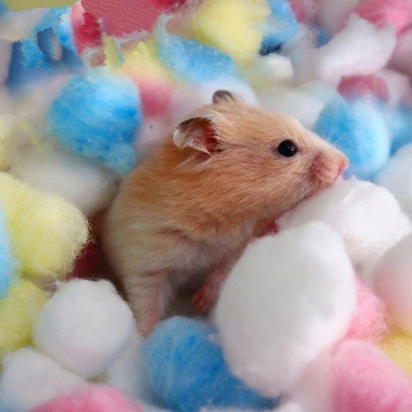 small pet hamster toys winter colorful cotton pad warm feeding cage stuffing filter paper filling pets nest accessories animal supplies
small pet hamster toys winter colorful cotton pad warm feeding cage stuffing filter paper filling pets nest accessories animal supplies