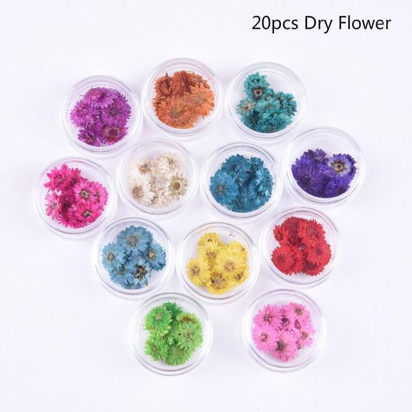 nail dry flower jewelry for women art dried japanese decoration nails dekor natural 20211, Silver;gold
nail dry flower jewelry for women art dried japanese decoration nails dekor natural 20211, Silver;gold