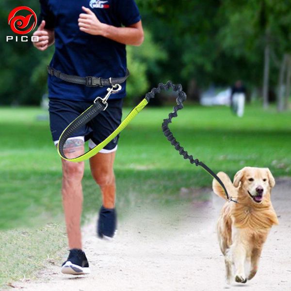 190*2.5cm elastic pet dog walking lead running leash puppy sports jogging small dogs collar rope zl284-1 collars & leashes
190*2.5cm elastic pet dog walking lead running leash puppy sports jogging small dogs collar rope zl284-1 collars & leashes