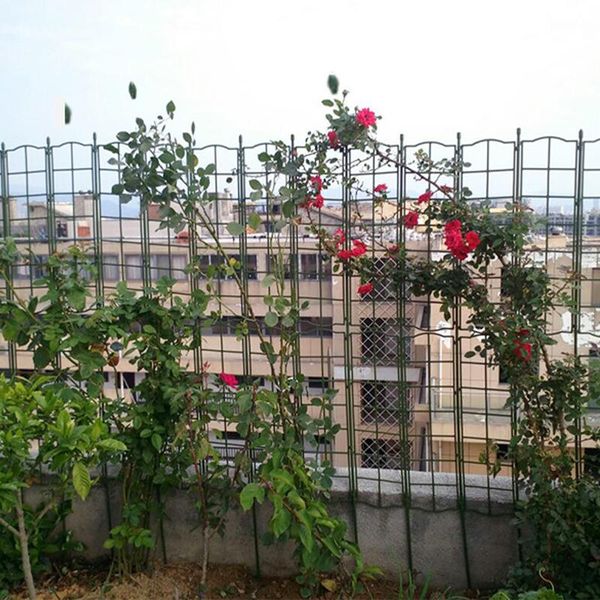 fencing, trellis & gates 50x120cm climbing vine rack rose wall plant detachable screen support garden net flower vines pot stand
fencing, trellis & gates 50x120cm climbing vine rack rose wall plant detachable screen support garden net flower vines pot stand