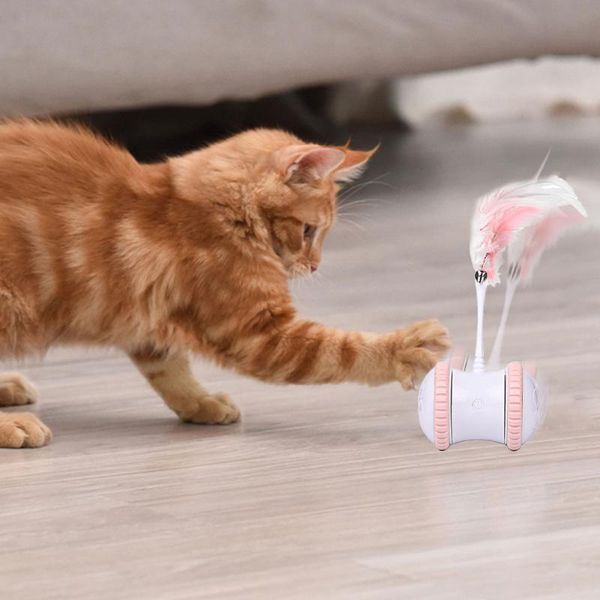interactive cat toy remote control smart kitten toys for indoor cats automatic usb charging self rotating ball catnip
interactive cat toy remote control smart kitten toys for indoor cats automatic usb charging self rotating ball catnip