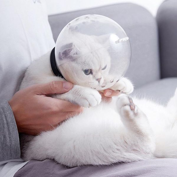 cat carriers,crates & houses transportation space hood safe breathable anti-licking injection anti-bite travel tool mask headgear pet groomi
cat carriers,crates & houses transportation space hood safe breathable anti-licking injection anti-bite travel tool mask headgear pet groomi