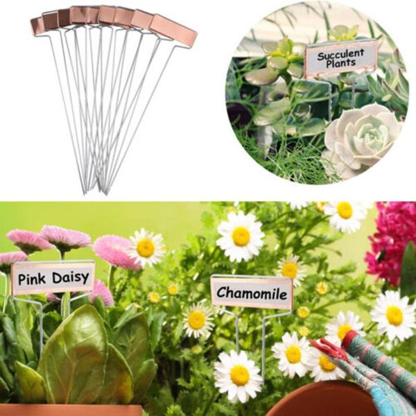 10pcs reusable metal plant flower labels markers garden tags decor tool f2 decorations
10pcs reusable metal plant flower labels markers garden tags decor tool f2 decorations
