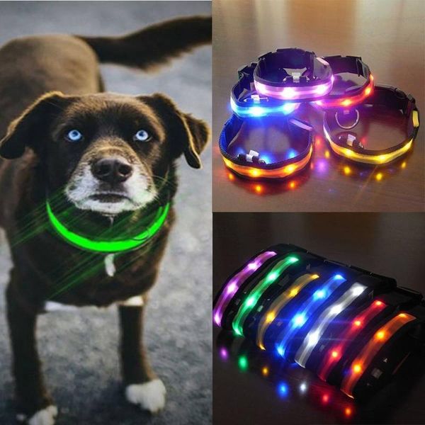 anti-lost flashing glitter dog collars led nylon pet security night necklace pets product & leashes
anti-lost flashing glitter dog collars led nylon pet security night necklace pets product & leashes